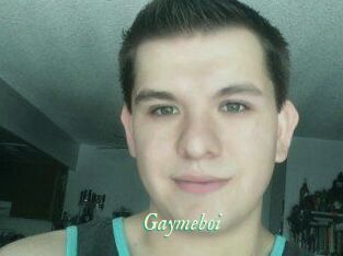 Gaymeboi