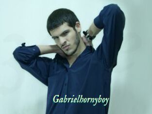 Gabrielhornyboy