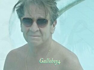Galloboy4