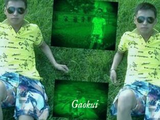 Gaokui