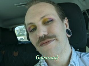 Gatorcatnb