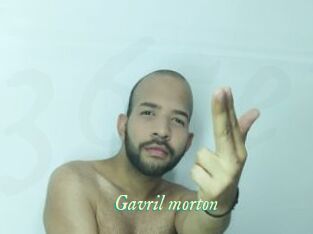 Gavril_morton