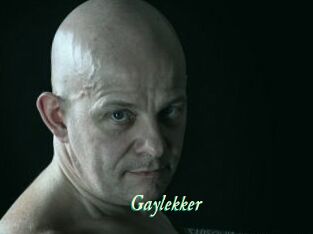 Gaylekker