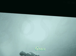 Graco