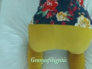 Granysofibigtitis
