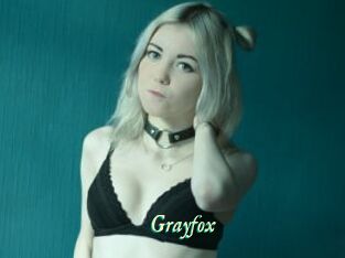Grayfox