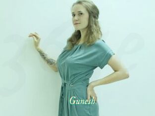 Gunesh