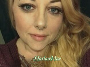 HarlowMae