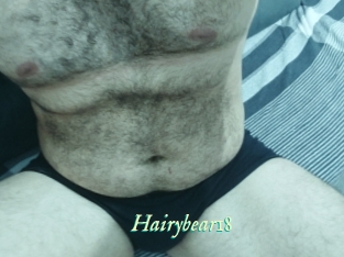 Hairybear18