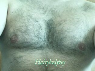 Hairybodyboy