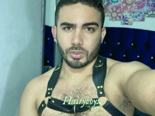 Hairyboyx