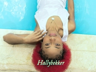 Hallybekker