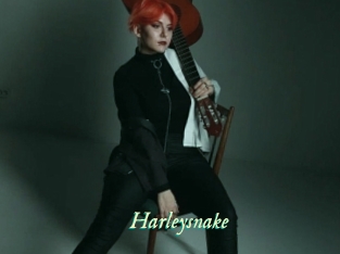 Harleysnake