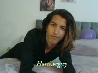 Harrisongrey