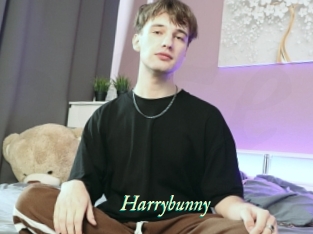 Harrybunny