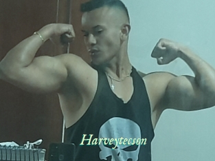 Harveytecson