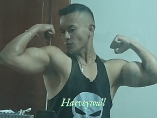 Harveywull