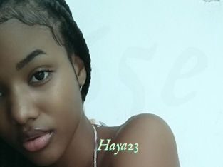 Haya23