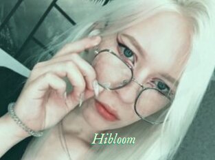 Hibloom