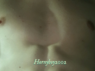 Hornyboy2002