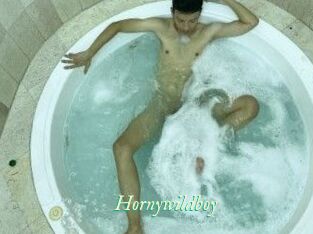 Hornywildboy