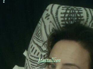 Itastallion