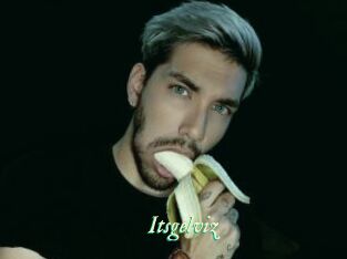 Itsgelviz