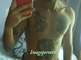 Imagopervert