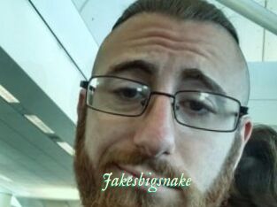 Jakesbigsnake