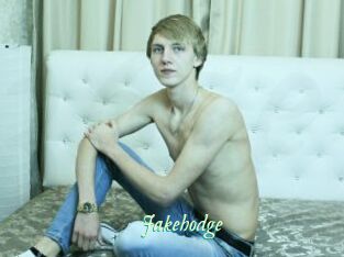 Jakehodge