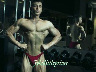 Johnlittleprince