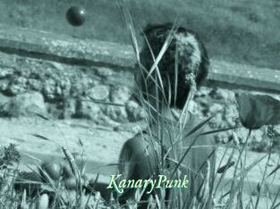 KanaryPunk