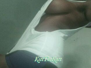 Kitt_The_Katt