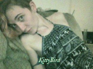 KittyBird