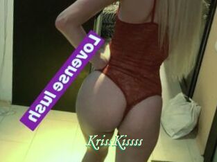 KrissKissss