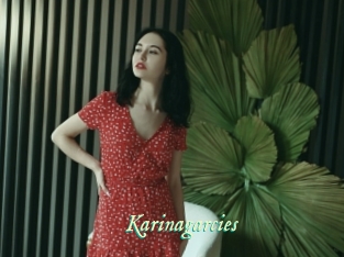 Karinagarcies