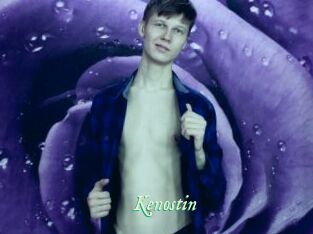 Kenostin