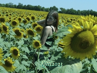 Kitti2023