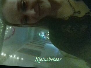 Kleinebeheer