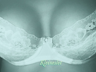 Kleineslet