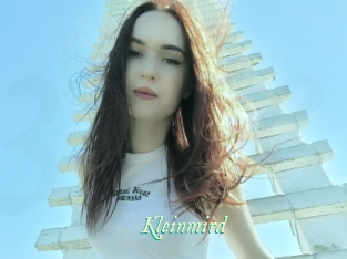 Kleinmird