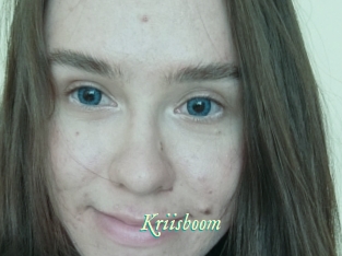 Kriisboom