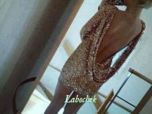 Labochek