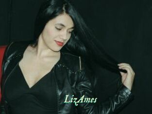 LizAmes