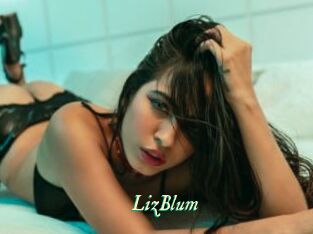 LizBlum