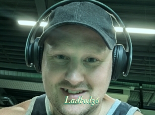 ladbod36 365 Erotiek