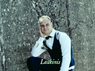 Laukinis