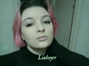 Liaboyer