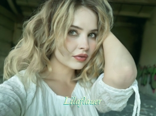 Lilaflauer