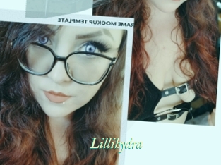 Lillihydra